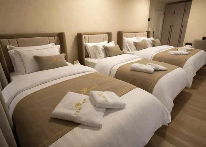 Center - Floir Szkodra